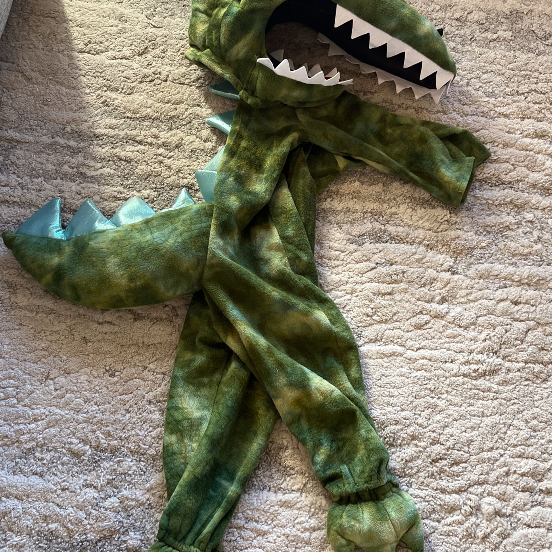 Pottery Barn Kids Dinosaur Costume