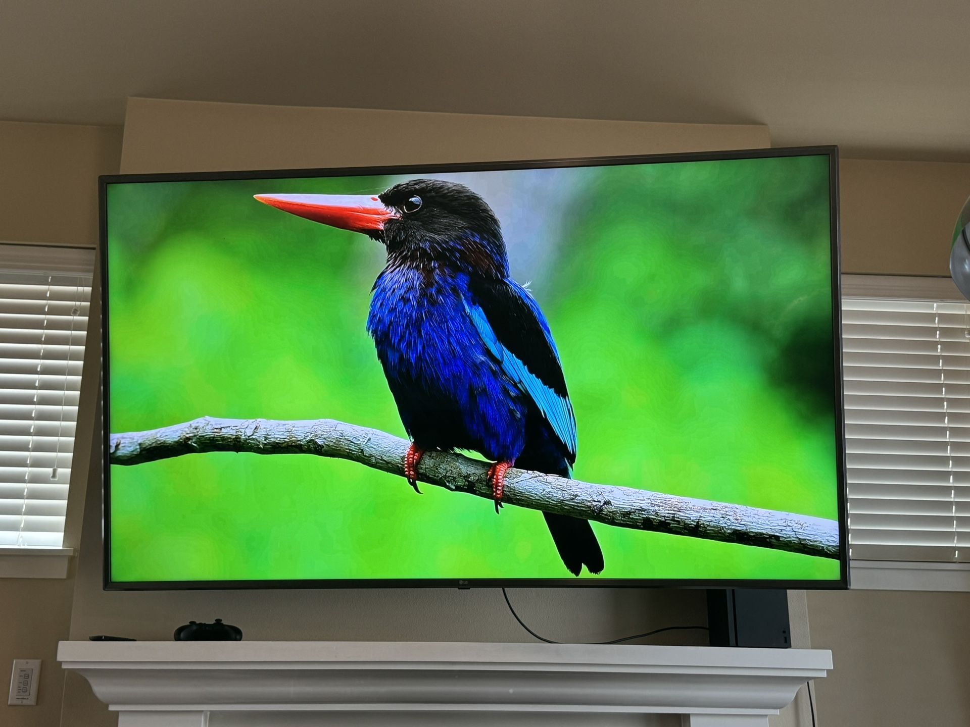 LG 75” TV