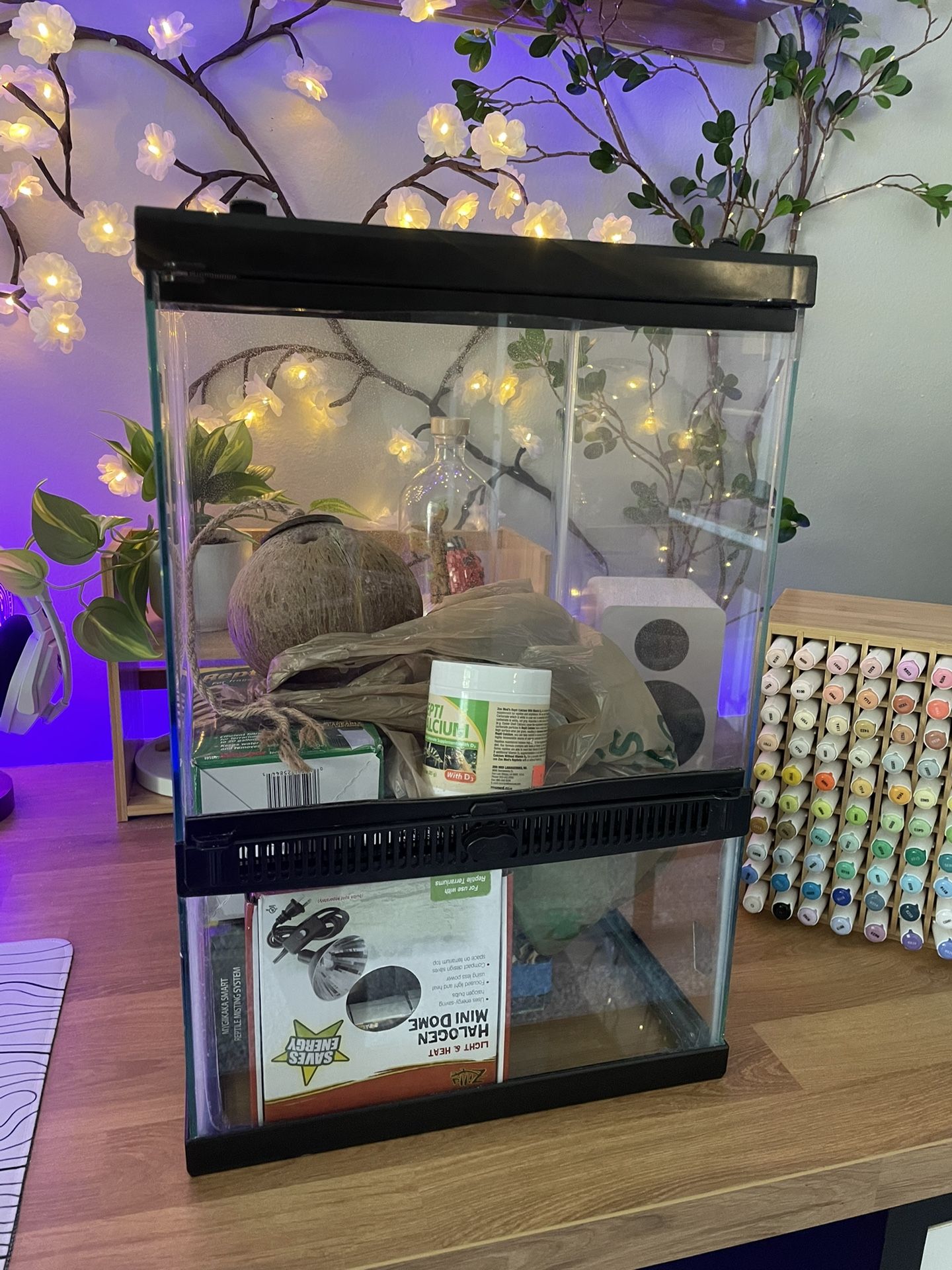 Terrarium For Tree Frog kit