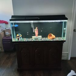 55 Gal Fish Tank 