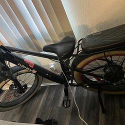 Please help find for big reward 