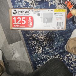 Main Lug 125 Amps Breaker Box