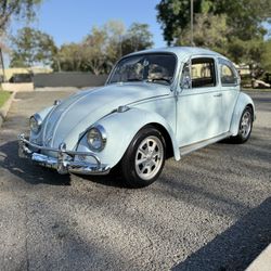 1967 Volkswagen Bug