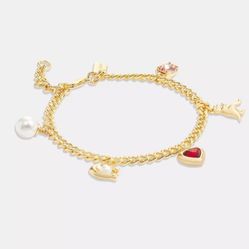 COACH Signature Stone And Heart Charm Bracelet NWT!