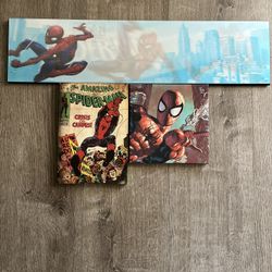 Spider-Man Pictures With Hanging Hooks