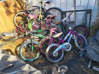 Free FREE FREE bicycles