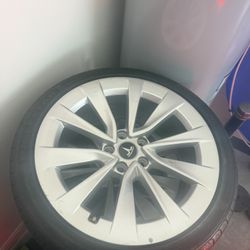 Tesla Rims 