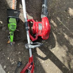 Blower/ Trimmer