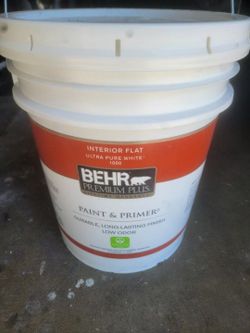 Interior Behr Paint Flat