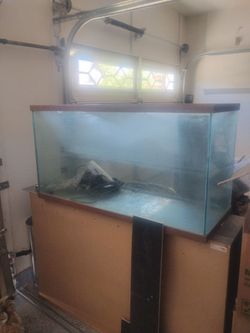 75 gallon glass aquarium