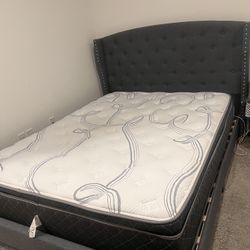 Bed + Mattress 