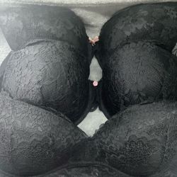 Victoria Secret Bras