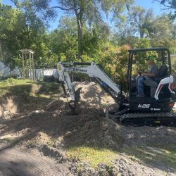 Mini Excavator