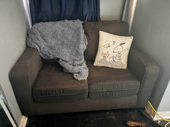 Love seat sleeper