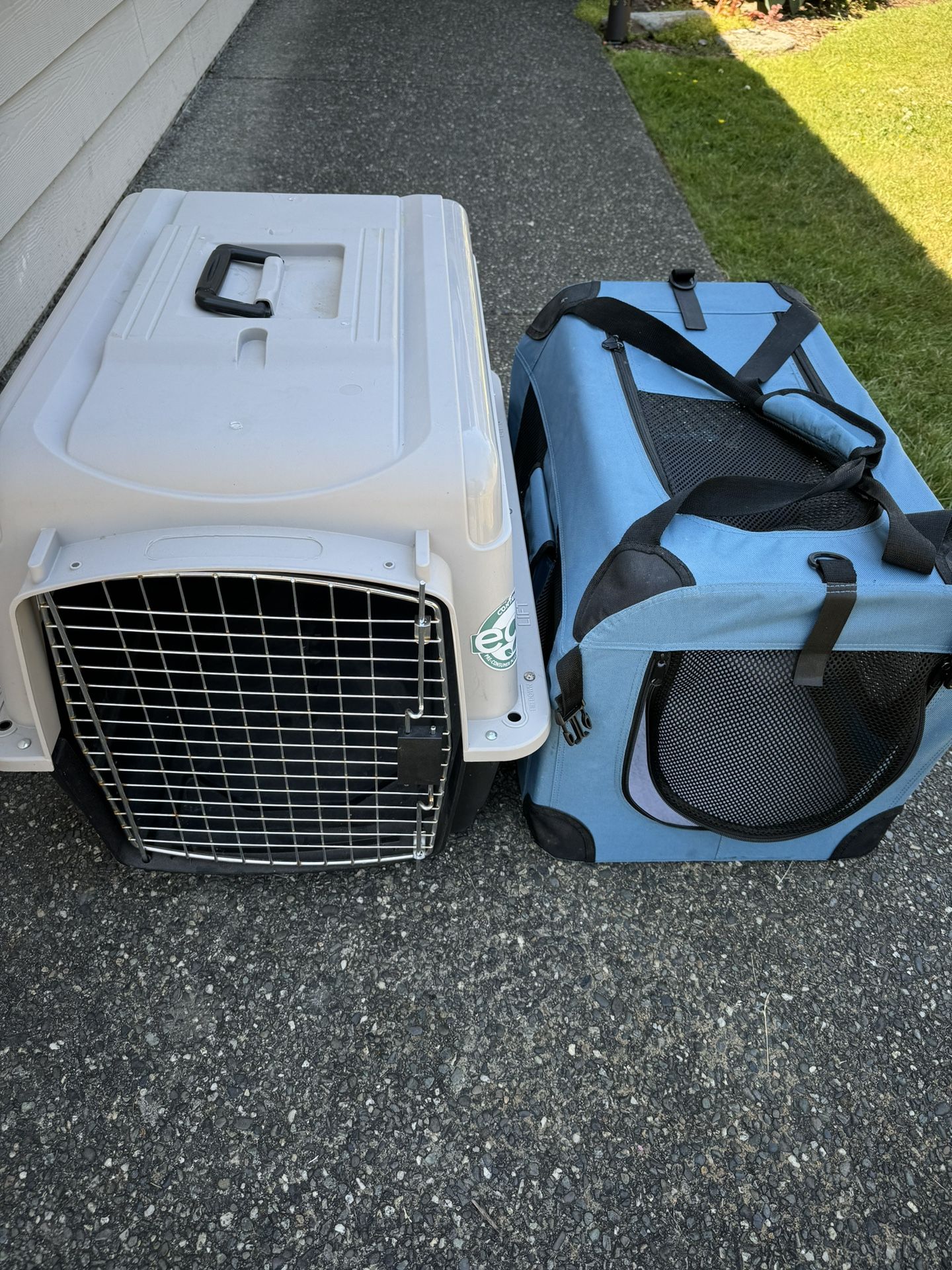 Dog Carriers