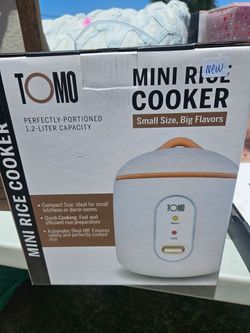Mini rice cooker