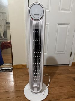 Fan