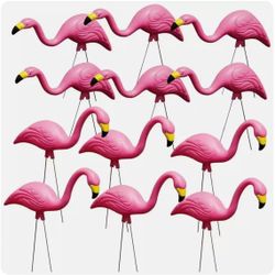 Outdoor flamingos