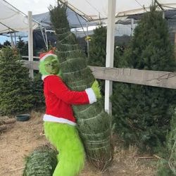 7/8 Foot Noble Trees! Hot Deals Last Minute Christmas Trees 