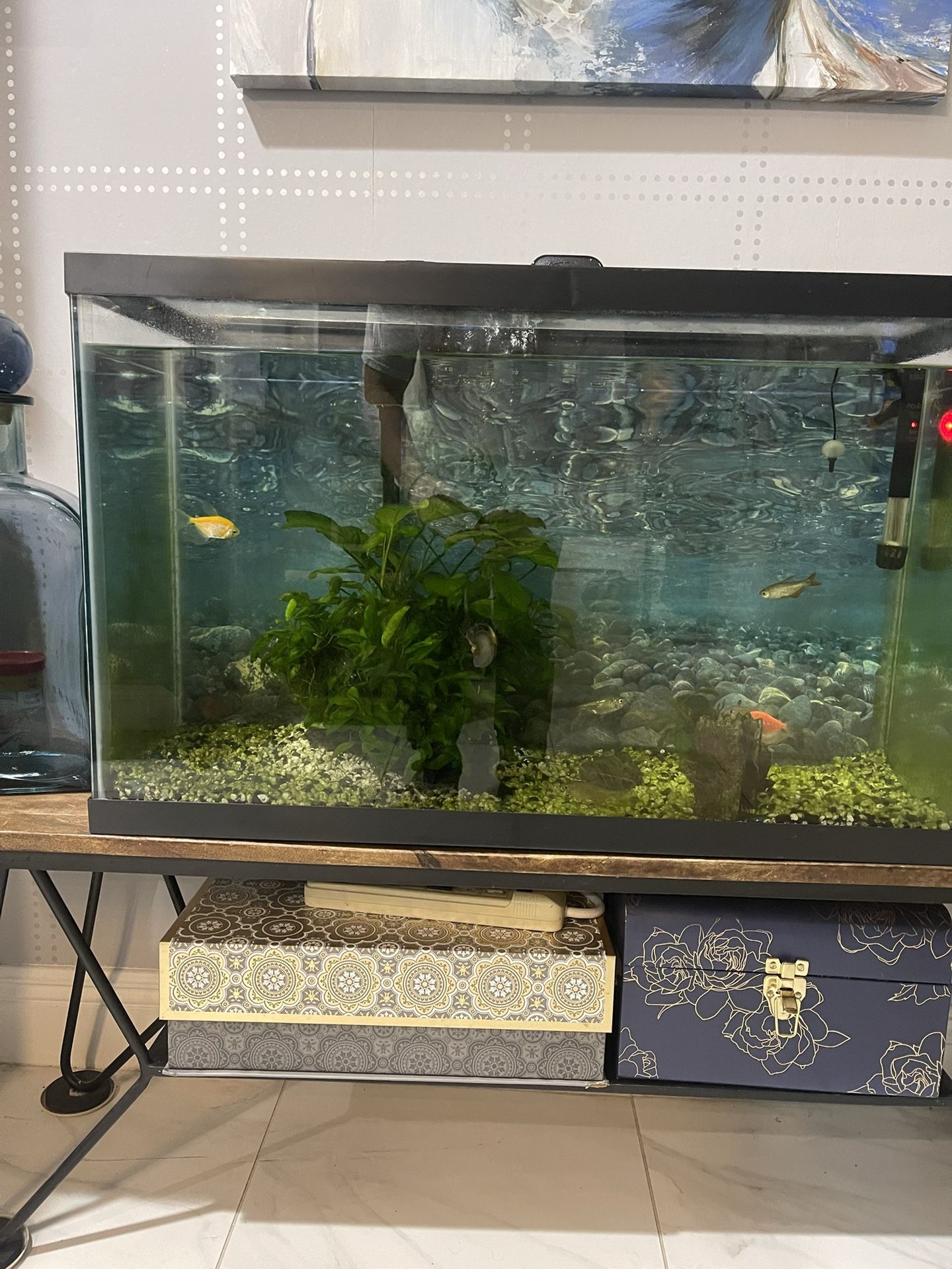 Aquariums