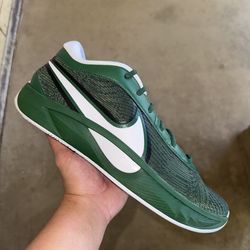 Nike Giannis Zoom Freak 6