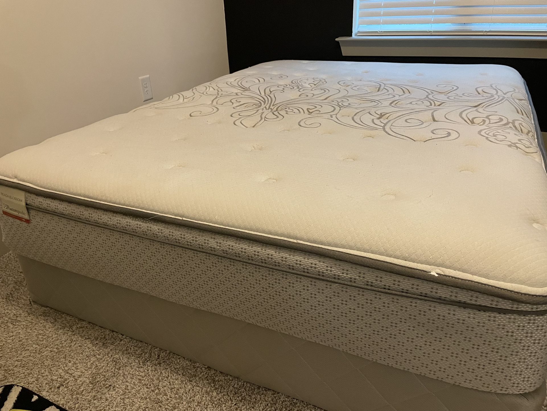 Queen Size Mattress And Bed Spring