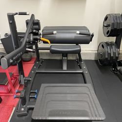 Matrix Glute Machine