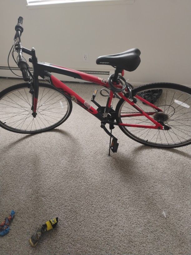 New Bike