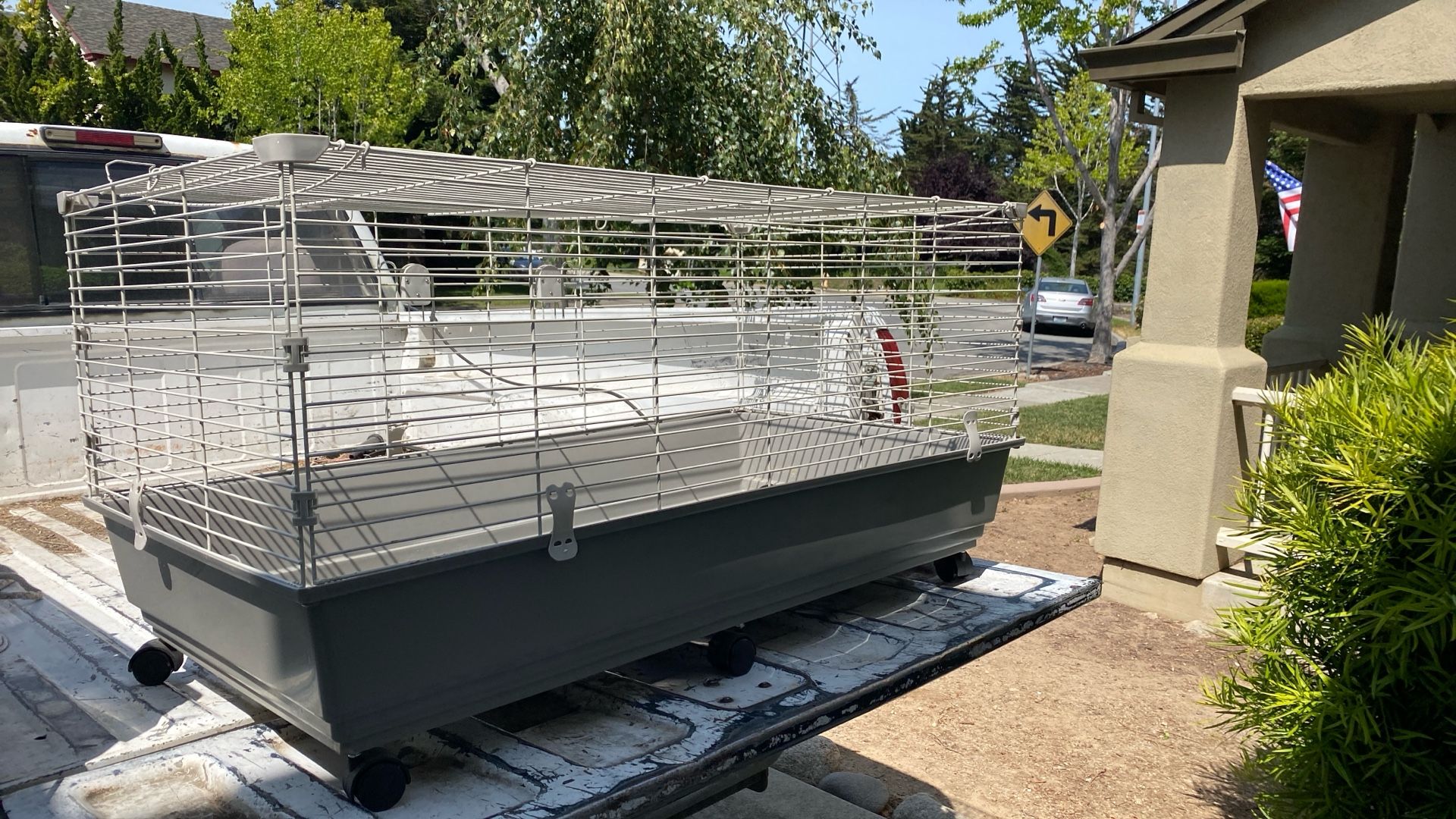 Rabbit Cage