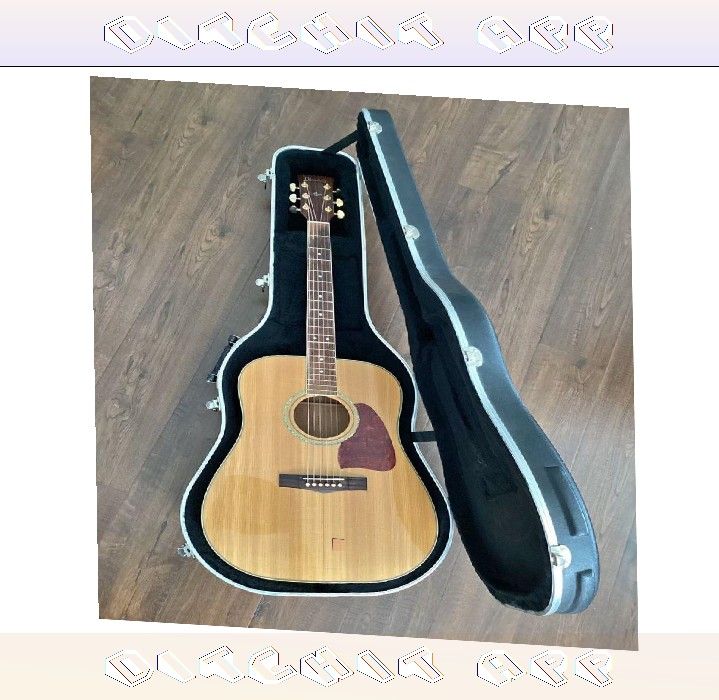 Find Your Perfect Sound with Our Premium Acoustic Guitar Selection series rise