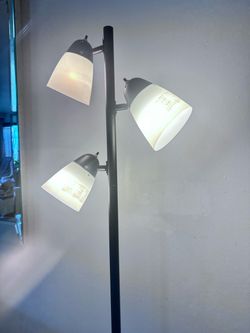 Tall Lamp 65”