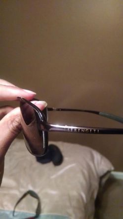Serengeti glasses brown