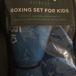 Boxing gloves blue color