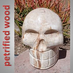 HUGE Petrified Wood Skull