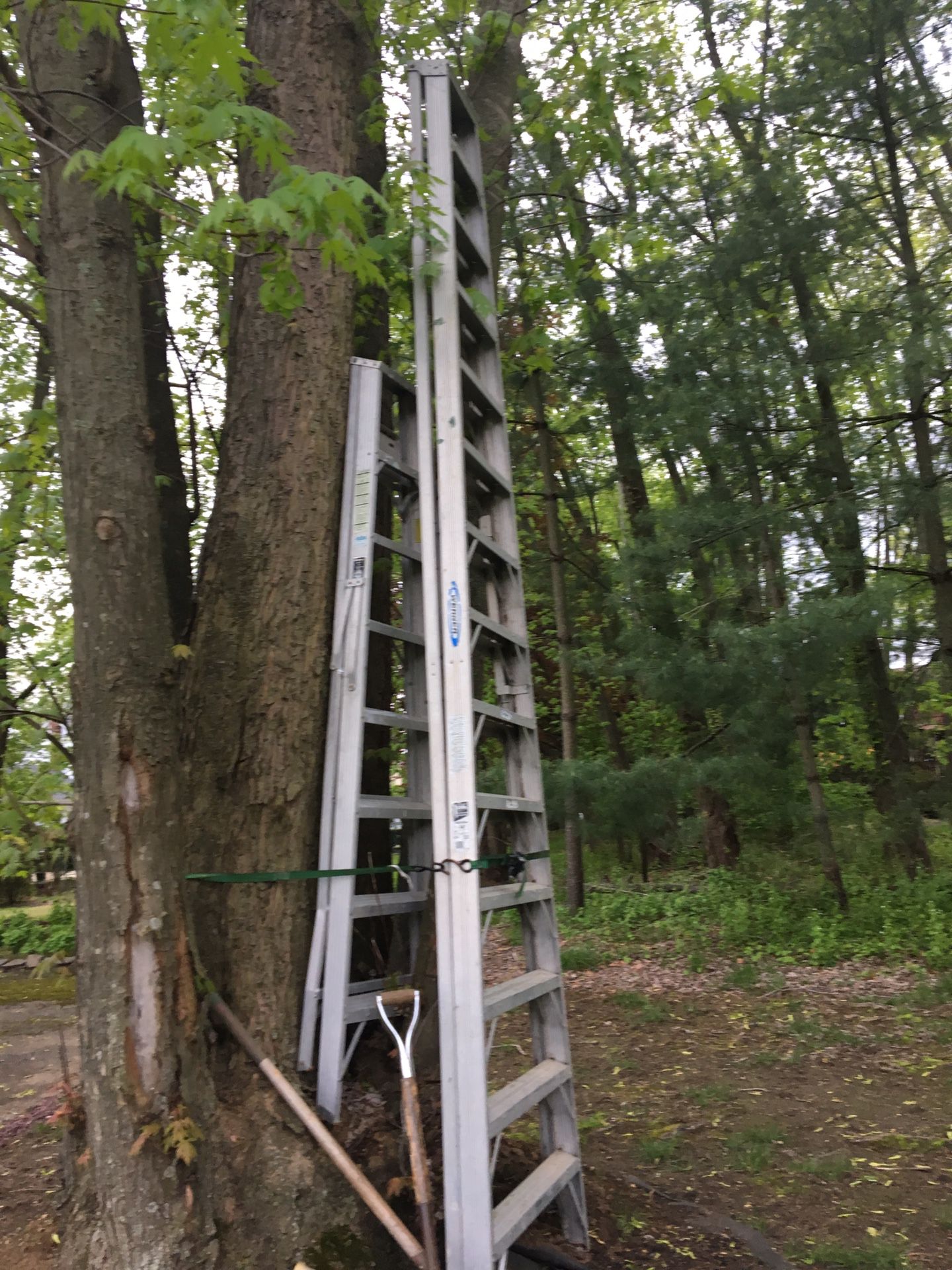 Ladder 14’ Werner commercial