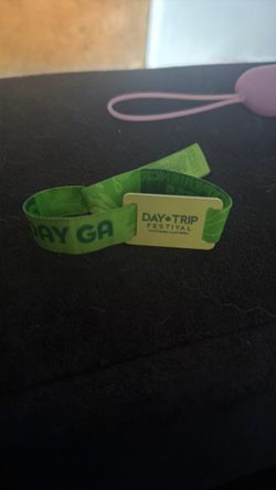 Day Trip ticket GA