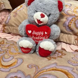 Valentines Teddy Bear 