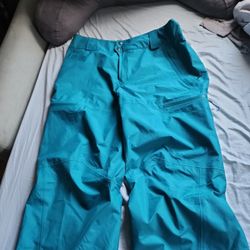 Men's Patagonia Snow Pants (Large)