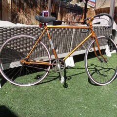 Montgomery Bike 🚳