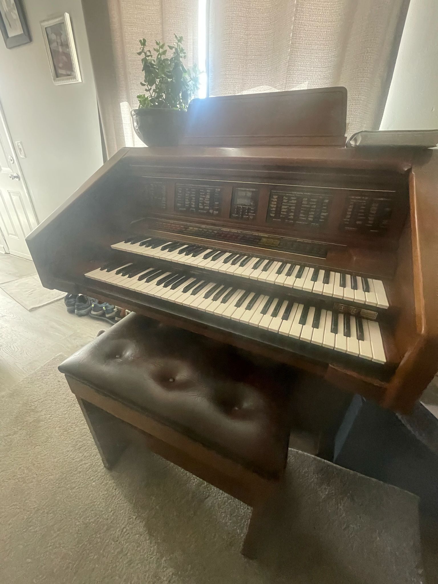 Organ Lowery 
