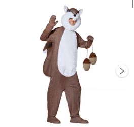 Men squirrel costume