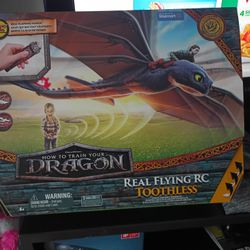 How To Train Your Dragon R C Toy