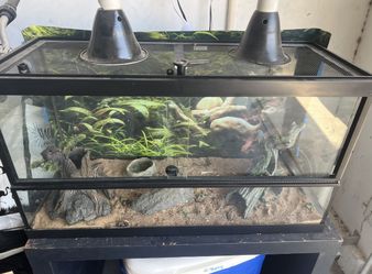 Reptile Tank