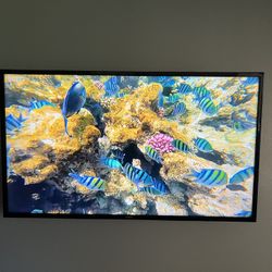 65 Inch Tv 