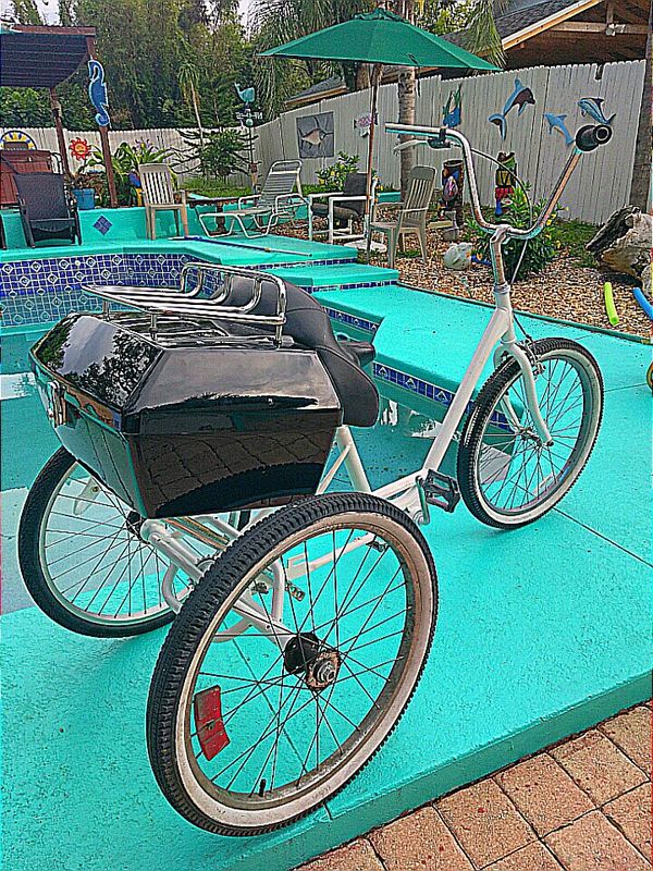Adult Trike 24" w/ Custom Hard Box Trunk for Sale in Daytona Beach, FL