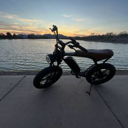 Volt Steed Electric Bike