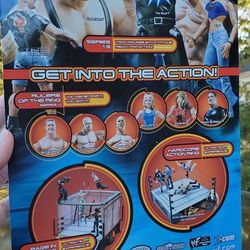 Lita WWE Series 13 action figure 2001