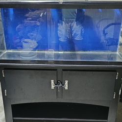55g Glass Aquarium, Stand and Equipment