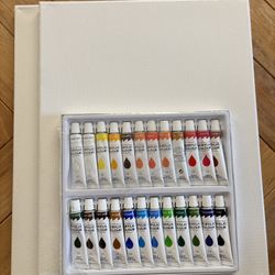Acrylic Paints and 2 Canvas’