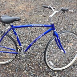 Crossroads Specialized Bike (21 speed)